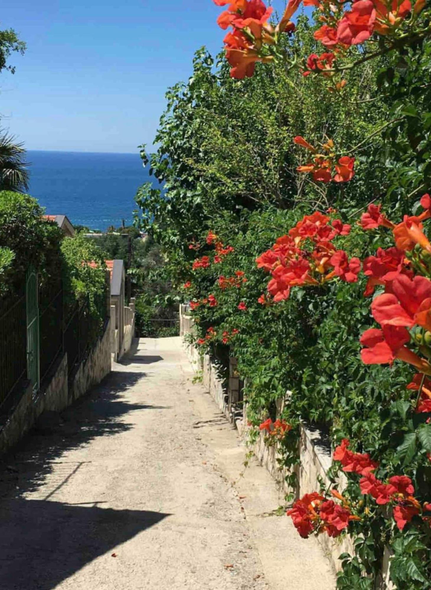 Bay View Apartments Petrovac Exteriér fotografie